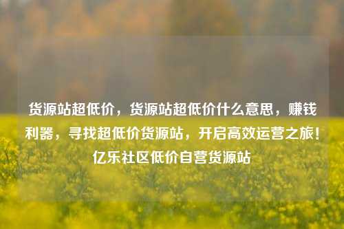 货源站超低价，货源站超低价什么意思，赚钱利器，寻找超低价货源站	，开启高效运营之旅！亿乐社区低价自营货源站  第1张