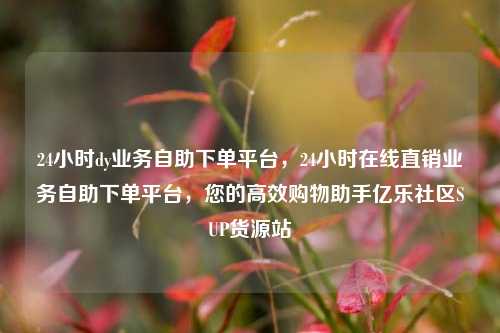 24小时dy业务自助下单平台，24小时在线直销业务自助下单平台，您的高效购物助手亿乐社区SUP货源站  第1张