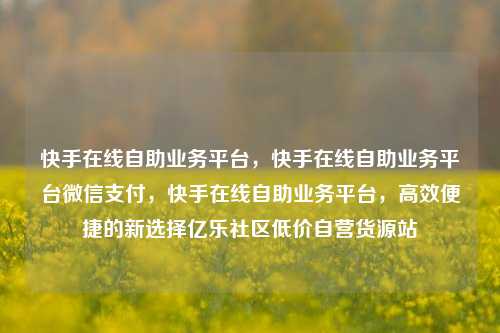 快手在线自助业务平台，快手在线自助业务平台微信支付	，快手在线自助业务平台，高效便捷的新选择亿乐社区低价自营货源站  第1张