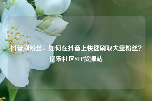 抖音刷粉丝	，如何在抖音上快速刷取大量粉丝？亿乐社区SUP货源站  第1张