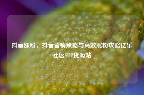 抖音涨粉，抖音营销策略与高效涨粉攻略亿乐社区SUP货源站  第1张