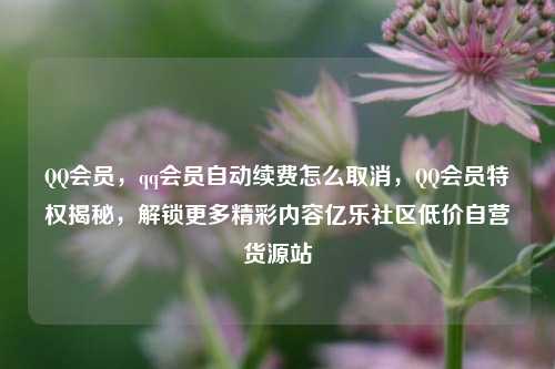 QQ会员，qq会员自动续费怎么取消，QQ会员特权揭秘	，解锁更多精彩内容亿乐社区低价自营货源站  第1张