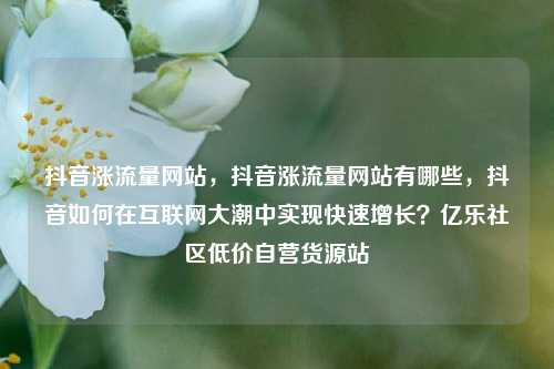 抖音涨流量网站，抖音涨流量网站有哪些	，抖音如何在互联网大潮中实现快速增长？亿乐社区低价自营货源站  第1张