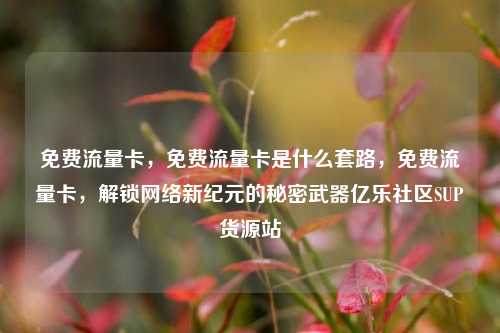 免费流量卡，免费流量卡是什么套路	，免费流量卡，解锁网络新纪元的秘密武器亿乐社区SUP货源站  第1张