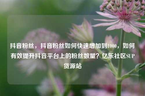 抖音粉丝，抖音粉丝如何快速增加到1000，如何有效提升抖音平台上的粉丝数量？亿乐社区SUP货源站  第1张