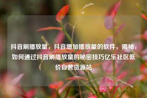 抖音刷播放量	，抖音增加播放量的软件，揭秘，如何通过抖音刷播放量的秘密技巧亿乐社区低价自营货源站  第1张