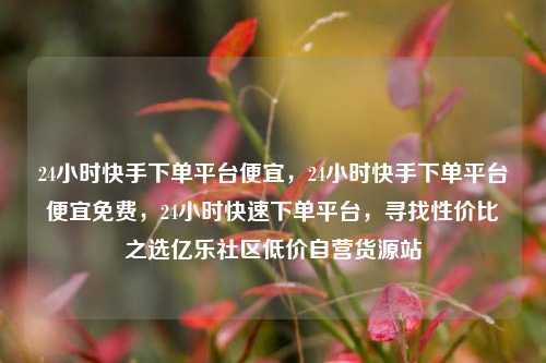 24小时快手下单平台便宜	，24小时快手下单平台便宜免费，24小时快速下单平台，寻找性价比之选亿乐社区低价自营货源站  第1张