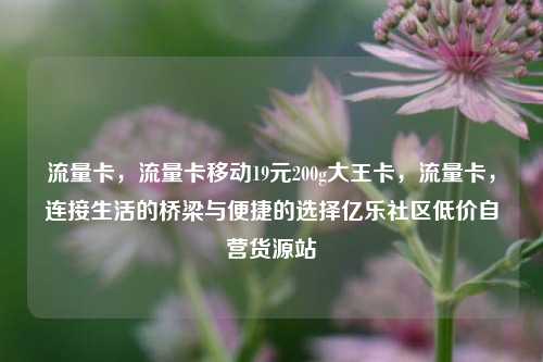 流量卡，流量卡移动19元200g大王卡	，流量卡，连接生活的桥梁与便捷的选择亿乐社区低价自营货源站  第1张