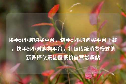 快手24小时购买平台	，快手24小时购买平台下载，快手24小时购物平台，打破传统消费模式的新选择亿乐社区低价自营货源站  第1张