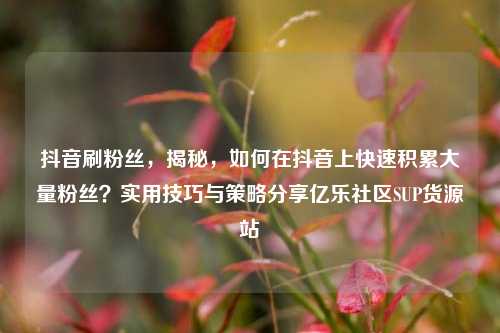 抖音刷粉丝，揭秘，如何在抖音上快速积累大量粉丝？实用技巧与策略分享亿乐社区SUP货源站  第1张
