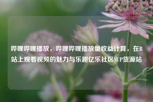 哔哩哔哩播放，哔哩哔哩播放量收益计算，在B站上观看视频的魅力与乐趣亿乐社区SUP货源站  第1张