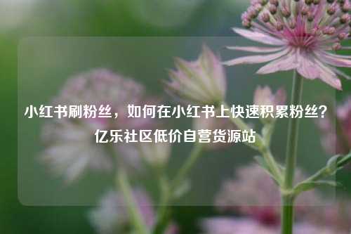 小红书刷粉丝，如何在小红书上快速积累粉丝？亿乐社区低价自营货源站  第1张