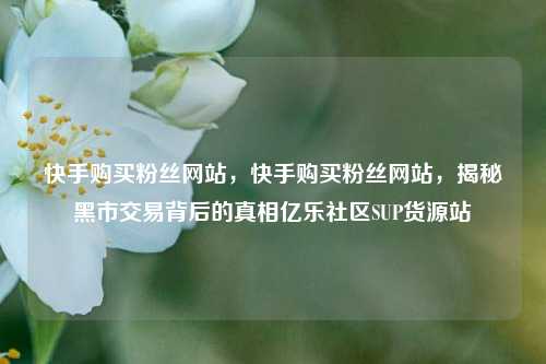快手购买粉丝网站，快手购买粉丝网站，揭秘黑市交易背后的真相亿乐社区SUP货源站  第1张