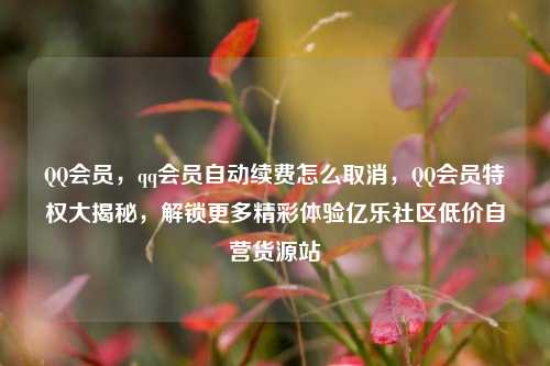 QQ会员，qq会员自动续费怎么取消	，QQ会员特权大揭秘，解锁更多精彩体验亿乐社区低价自营货源站  第1张